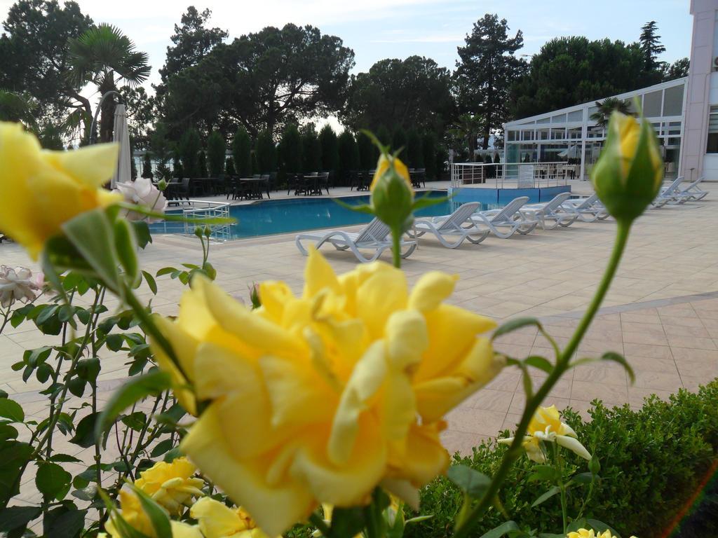 Grand Nicea Hotel İznik Cameră foto